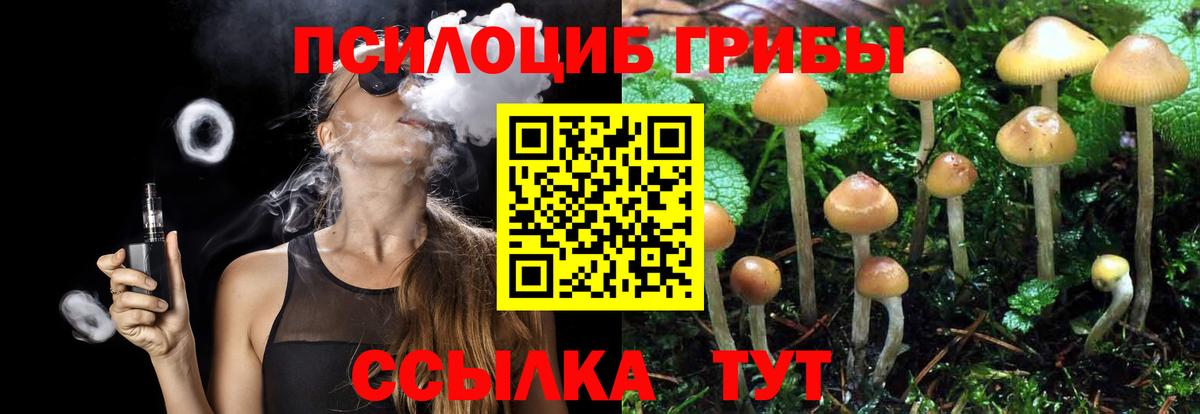 Галлюциногенные грибы Psilocybine cubensis  Вход с VPN  Псилоцибиновые грибы ЛСД  Углич 